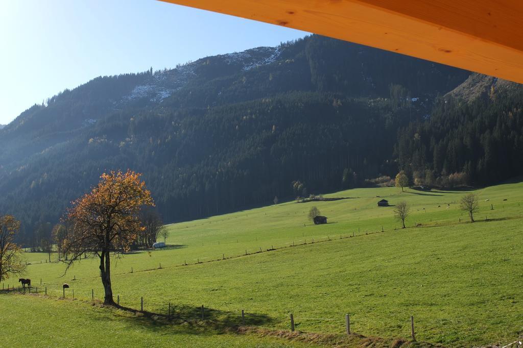 Penthousewohnung Mit Garten Sauna Pool Maishofen Exteriör bild